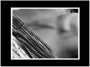 29 sylvie 06.jpg Chèche