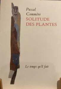 591882714 10235277100522457 7241839349322988190 n.jpg Plantes