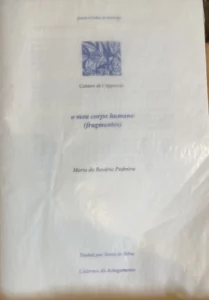 627177396 10236055834190312 6617733349943651338 n.jpg Rosario.jpg Bis