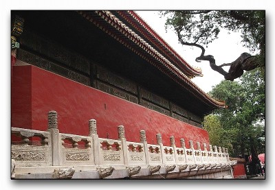 Angèle Paoli | Rouges de Chine 16