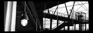 320dans_le_tram