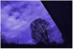 4_les_paysages_abondantsjpg_1