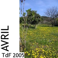 TdF n° 5 ― avril 2005