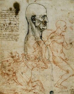 Croquis Leonardo