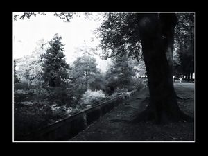 3 quelques minutes, quelques mètres, toujours là