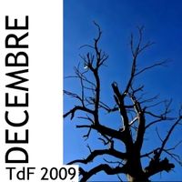 Terres de femmes ― Sommaire du mois de décembre 2009