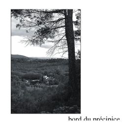 Ophélie Jaësan | Une branche de bois vert