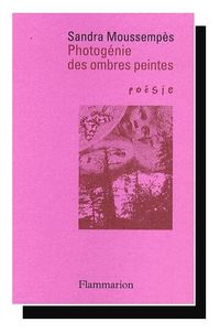 PHOTOGENIE DES OMBRES PEINTES S MOUSSEMPES