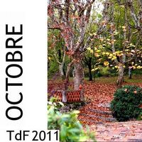 Terres de femmes ― Sommaire du mois d&rsquo;octobre 2011