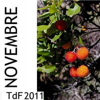 Terres de femmes n° 84 ― novembre 2011