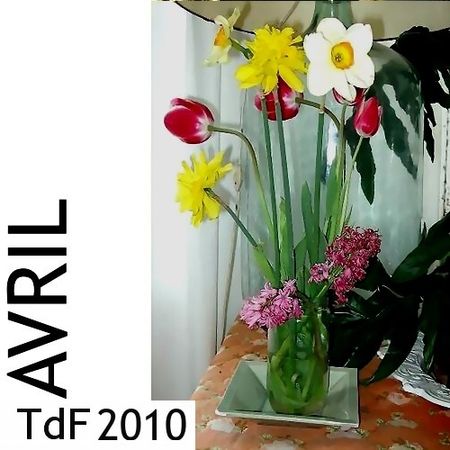 Terres de femmes n° 65 ― avril 2010