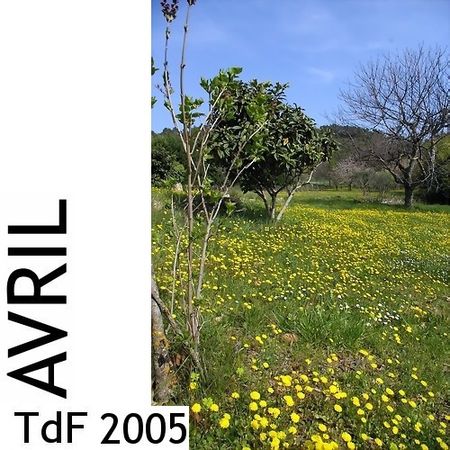Terres de femmes n° 5 ― avril 2005