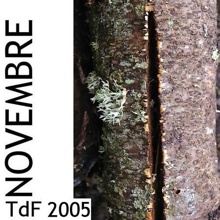 Terres de femmes n° 12 ― novembre 2005