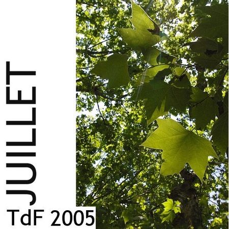 Terres de femmes n° 8 ― juillet 2005