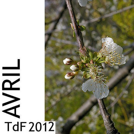 Terres de femmes n° 89 ― avril 2012