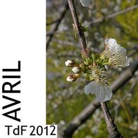 Terres de femmes n° 89 ― avril 2012