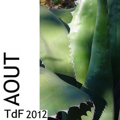 Terres de femmes n° 93 ― août 2012