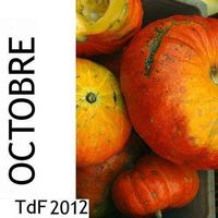 Terres de femmes n° 95 ― sommaire du mois d&rsquo;octobre 2012