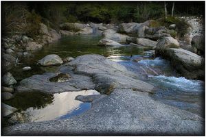 Remo Fasani | Il fiume