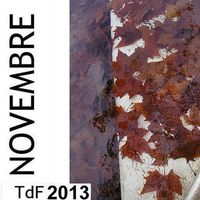 Terres de femmes n° 108 ― Sommaire du mois de novembre 2013