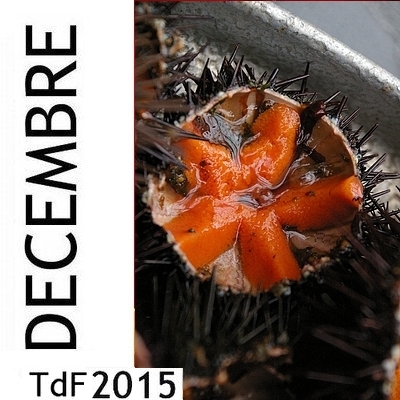 Terres de femmes n° 133 ― décembre 2015