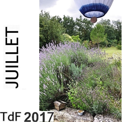 Terres de femmes n° 152 ― juillet 2017