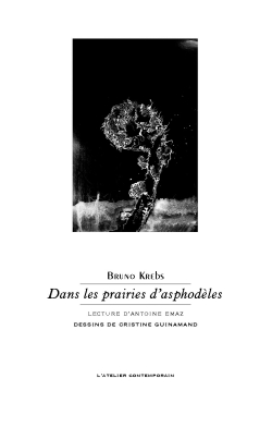 Bruno Krebs  Dans les prairies d'asphodèles 2