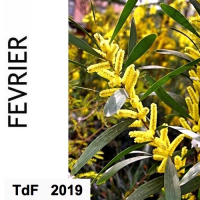 TdF n° 171 ― février 2019