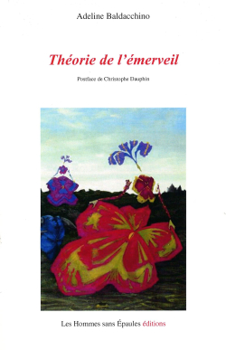 Adeline Baldacchino  Théorie de l'émerveil.jpg 2