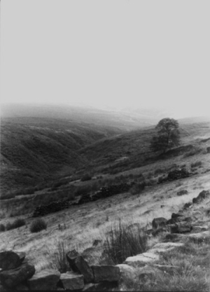 27 juillet 1839 | Emily Jane Brontë | Mild the mist upon the hill