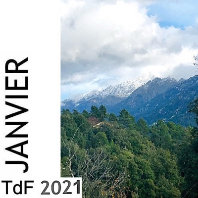 Terres de femmes n° 194 ― janvier 2021