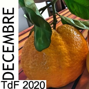TdF n° 193 ― décembre 2020