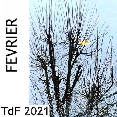 Terres de femmes n° 195 ― février 2021