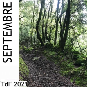 TdF: sommaire du mois de septembre 2021