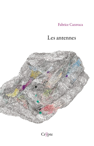 Couv_lesantennes_JPEG_bd
