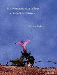 Le Braz
