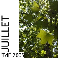 TdF n° 8 ― juillet 2005