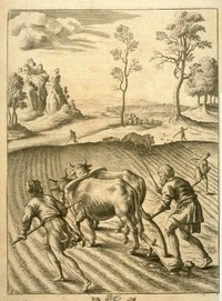 Gorgiques_virgile