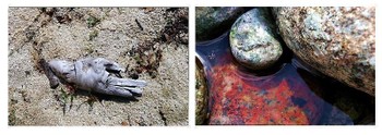 L'aspect effrayant du fleuve Laspect_effrayant_du_fleuve