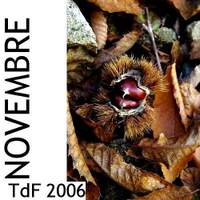 Terres de femmes ― Sommaire du mois de novembre 2006