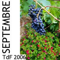 Terres de femmes ― Sommaire du mois de septembre 2006