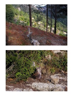 Muna_novembre_2007_2