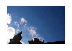 Pino_baroque_cap_corse__aout_2006__stupf