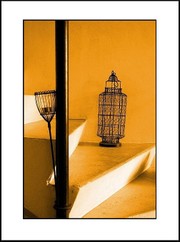 Rage_dor_prisonnire_dans_sa_cage__angle_