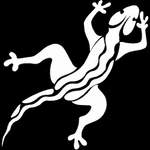 Salamandre