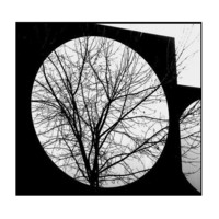 Un_grand_cercle_autour_de_ce_curieux_pat