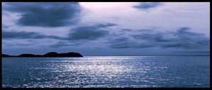 Un_paysage_surgit_des_eaux